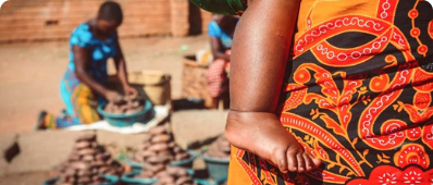 Greening Mozambique: Unlocking a Sustainable Future through Tree Planting Grants